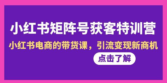 小红书-矩阵号获客特训营-第10期，小红书电商的带货课，引流变现新商机-云创网