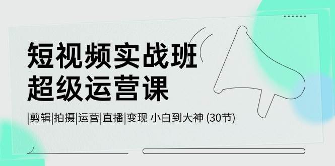 短视频实战班-超级运营课，|剪辑|拍摄|运营|直播|变现 小白到大神 (30节)-云创网