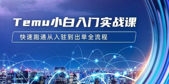 Temu小白入门实战课：跨境拼多多电商培训 快速跑通从入驻到出单全流程-12节-云创网
