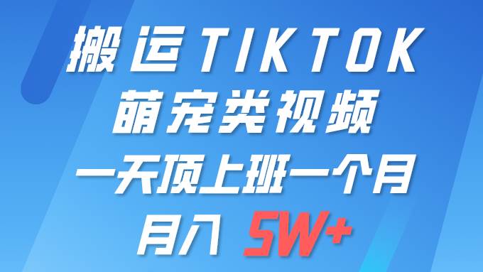一键搬运TIKTOK萌宠类视频 一部手机即可操作 所有平台均可发布 轻松月入5W+-云创网