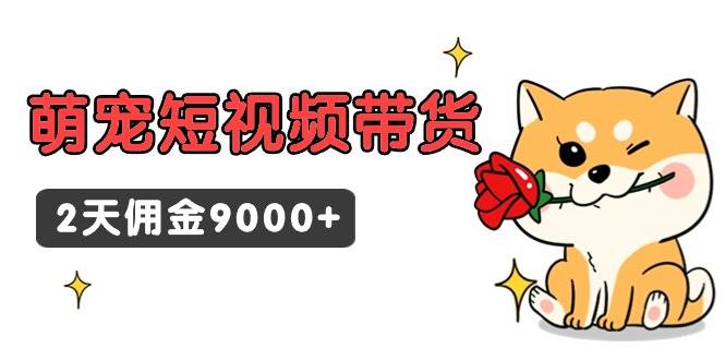 东哲日记·萌宠短视频带货，2天佣金9000+-云创网