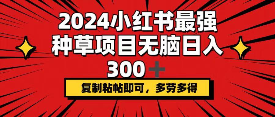 2024小红书最强种草项目，无脑日入300+，复制粘帖即可，多劳多得-云创网