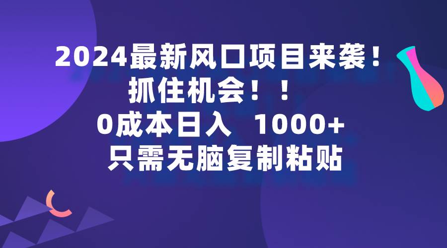 2024最新风口项目来袭，抓住机会，0成本一部手机日入1000+，只需无脑复…-云创网