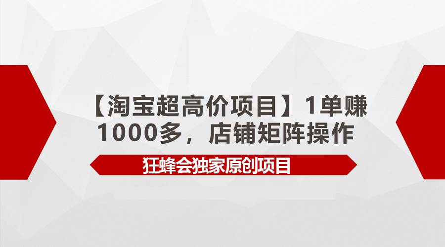 【淘宝超高价项目】1单赚1000多，店铺矩阵操作-云创网