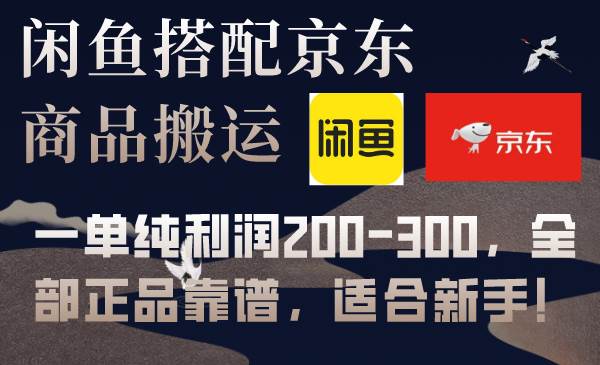 闲鱼搭配京东备份库搬运，一单纯利润200-300，全部正品靠谱，适合新手！-云创网