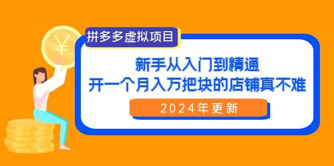 拼多多虚拟项目：入门到精通，开一个月入万把块的店铺 真不难（24年更新）-云创网