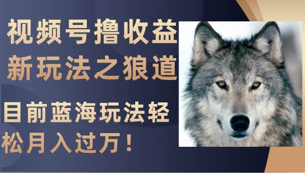 视频号撸收益新玩法之狼道，目前蓝海玩法轻松月入过万！-云创网