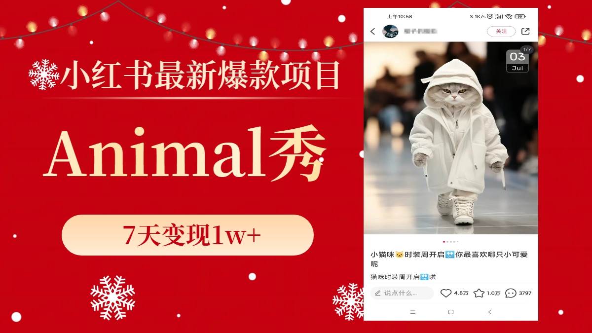 小红书最新爆款项目，Animal秀，7天变现1w+-云创网