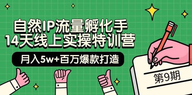 自然IP流量孵化手 14天线上实操特训营【第9期】月入5w+百万爆款打造 (74节)-云创网