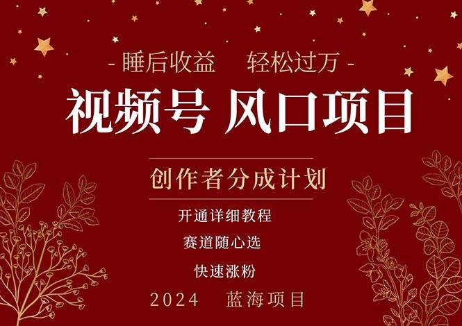 拥有睡眠收益的微信视频号大风口项目，轻松月入过万+，多赛道选择，可…-云创网