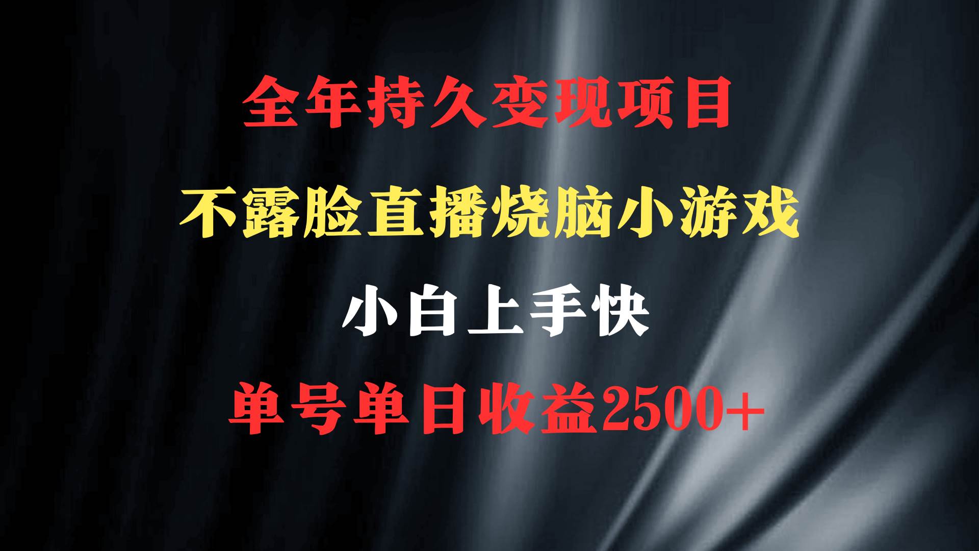 2024年 最优项目，烧脑小游戏不露脸直播  小白上手快 无门槛 一天收益2500+-云创网