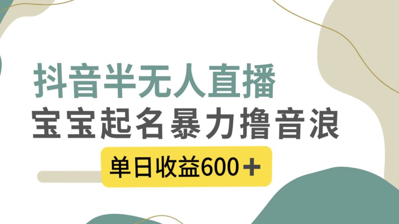 抖音半无人直播，宝宝起名，暴力撸音浪，单日收益600+-云创网