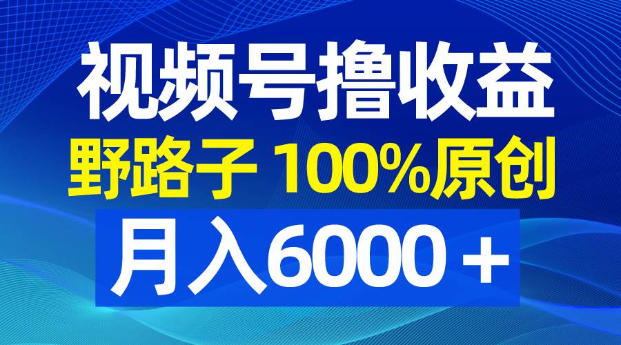 视频号野路子撸收益，100%原创，条条爆款，月入6000＋-云创网