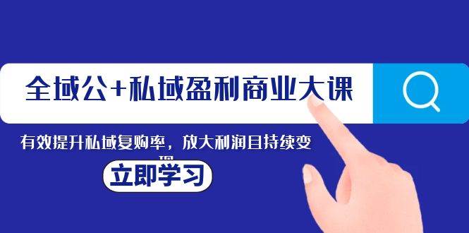 全域公+私域盈利商业大课，有效提升私域复购率，放大利润且持续变现-云创网