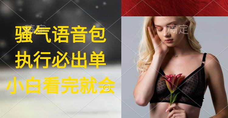执行就出单，日入2000+，超火骚气语音包，小白看完课程就能马上实操-云创网