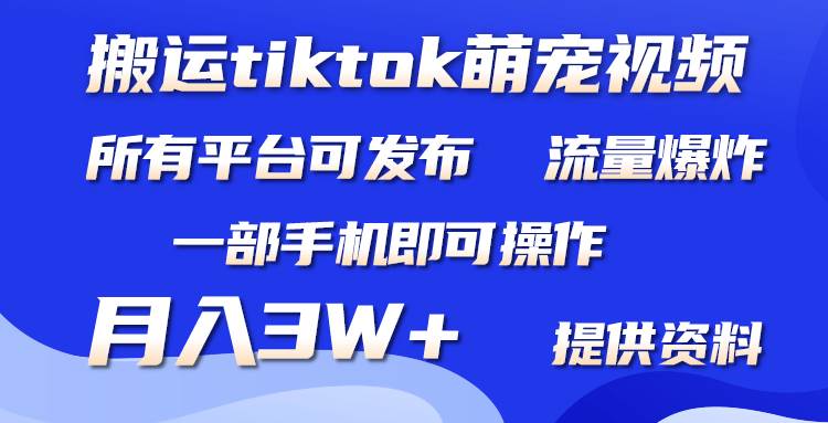 搬运Tiktok萌宠类视频，一部手机即可。所有短视频平台均可操作，月入3W+-云创网