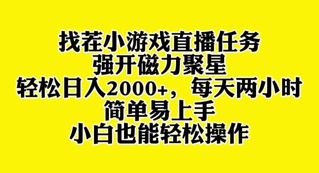 找茬小游戏直播，强开磁力聚星，轻松日入2000+，小白也能轻松上手-云创网