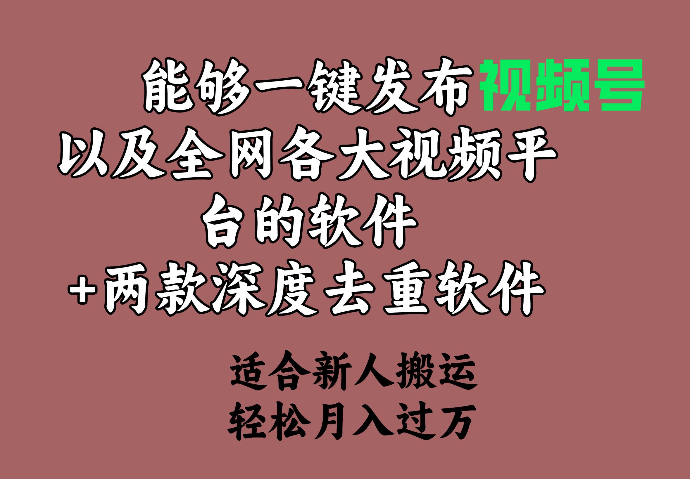 能够一键发布视频号以及全网各大视频平台的软件+两款深度去重软件 适合…-云创网