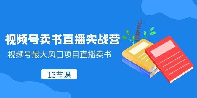 视频号-卖书直播实战营，视频号最大风囗项目直播卖书（13节课）-云创网