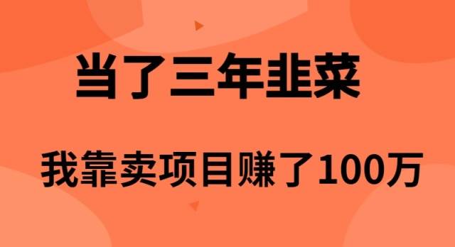 当了3年韭菜，我靠卖项目赚了100万-云创网