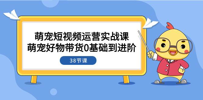 萌宠·短视频运营实战课：萌宠好物带货0基础到进阶（38节课）-云创网