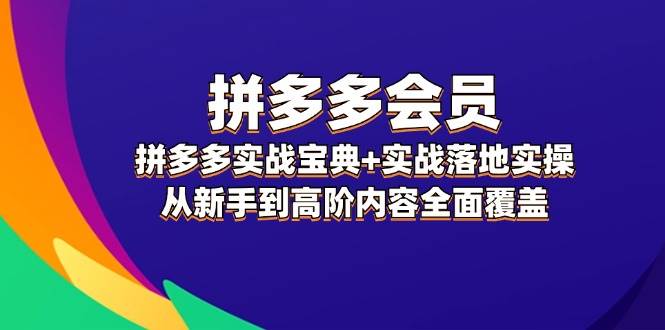 拼多多 会员，拼多多实战宝典+实战落地实操，从新手到高阶内容全面覆盖-云创网