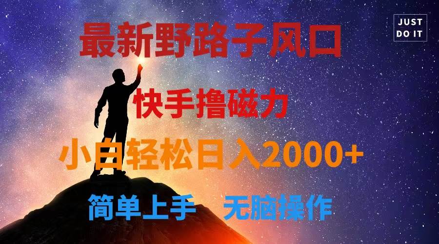 最新风口！快手撸磁力，野路子，小白无脑操作日入2000+-云创网