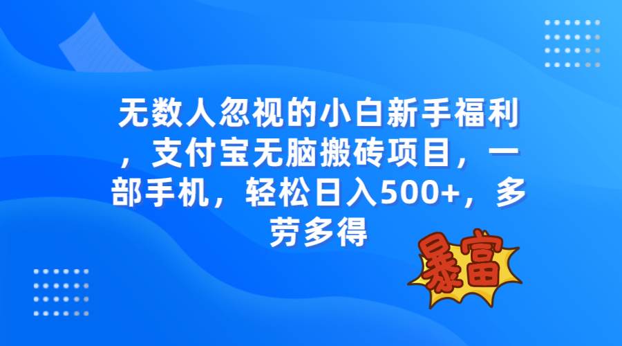 无数人忽视的项目，支付宝无脑搬砖项目，一部手机即可操作，轻松日入500+-云创网