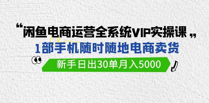 闲鱼电商运营全系统VIP实战课，1部手机随时随地卖货，新手日出30单月入5000-云创网