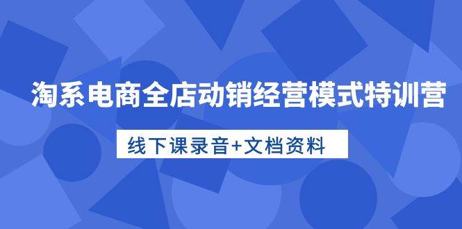 淘系电商全店动销经营模式特训营，线下课录音+文档资料-云创网