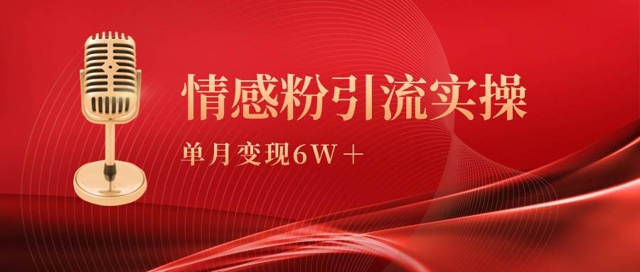 单月变现6w+，情感粉引流变现实操课-云创网