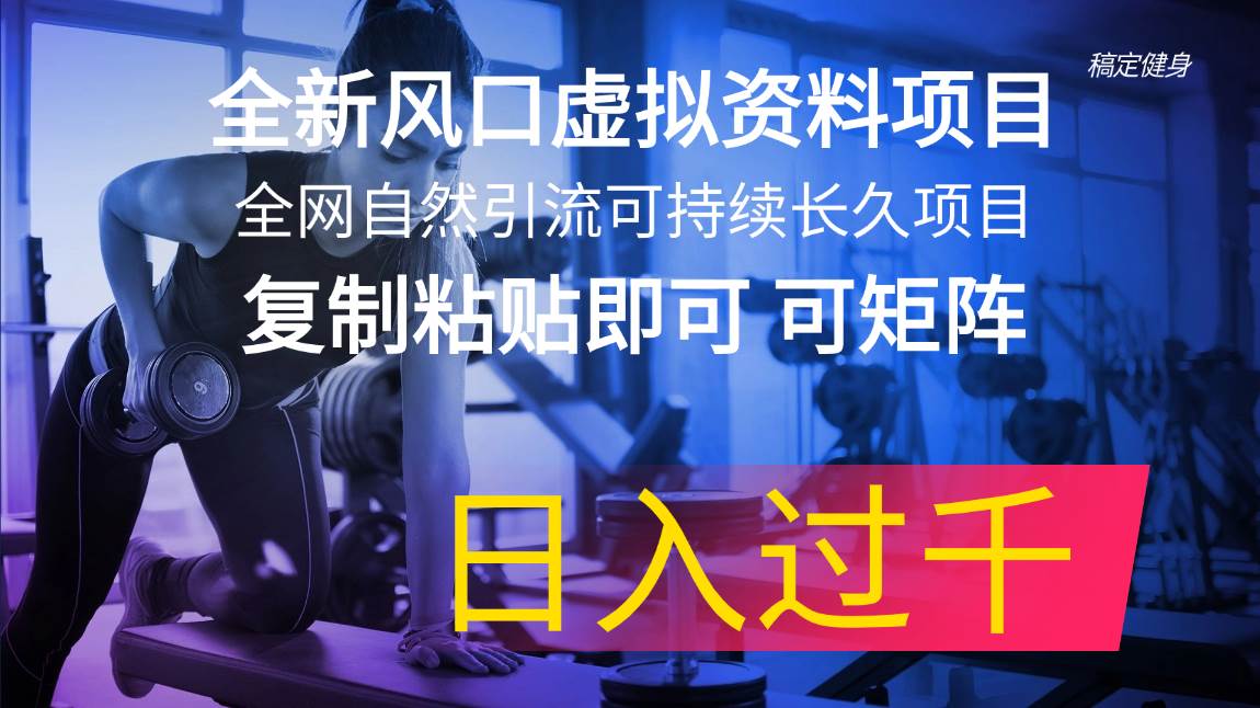 全新风口虚拟资料项目 全网自然引流可持续长久项目 复制粘贴即可可矩阵…-云创网