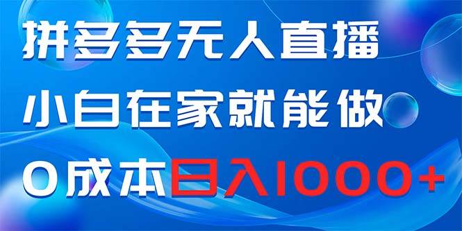 拼多多无人直播，小白在家就能做，0成本日入1000+-云创网