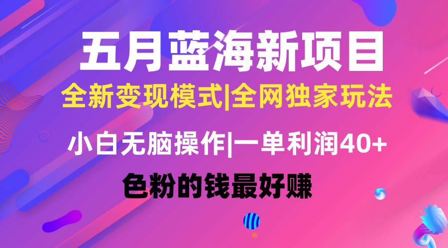 五月蓝海项目全新玩法，小白无脑操作，一天几分钟，矩阵操作，月入4万+-云创网