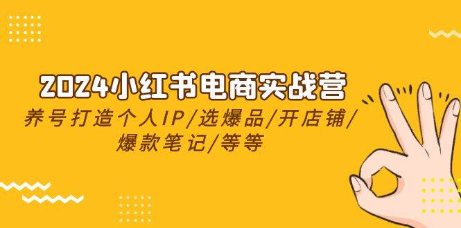 2024小红书电商实战营，养号打造IP/选爆品/开店铺/爆款笔记/等等（24节）-云创网