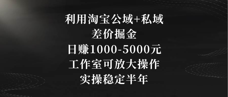 利用淘宝公域+私域差价掘金，日赚1000-5000元，工作室可放大操作，实操…-云创网