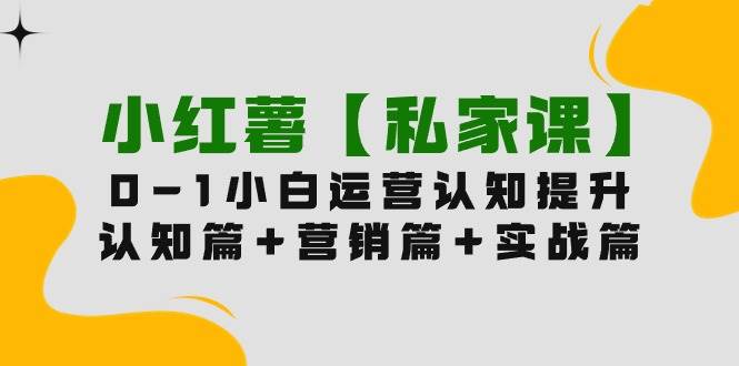 小红薯【私家课】0-1玩赚小红书内容营销，认知篇+营销篇+实战篇（11节课）-云创网