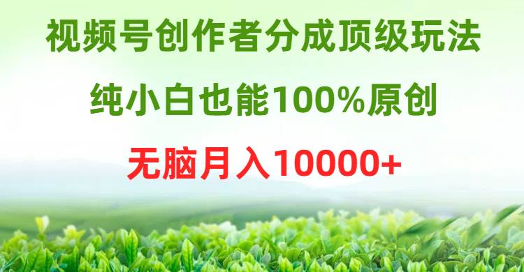 视频号创作者分成顶级玩法，纯小白也能100%原创，无脑月入10000+-云创网