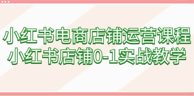 小红书电商店铺运营课程，小红书店铺0-1实战教学（60节课）-云创网