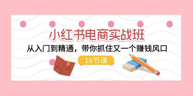 小红书电商实战班，从入门到精通，带你抓住又一个赚钱风口（16节）-云创网