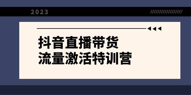 抖音直播带货-流量激活特训营，入行新手小白主播必学（21节课+资料）-云创网