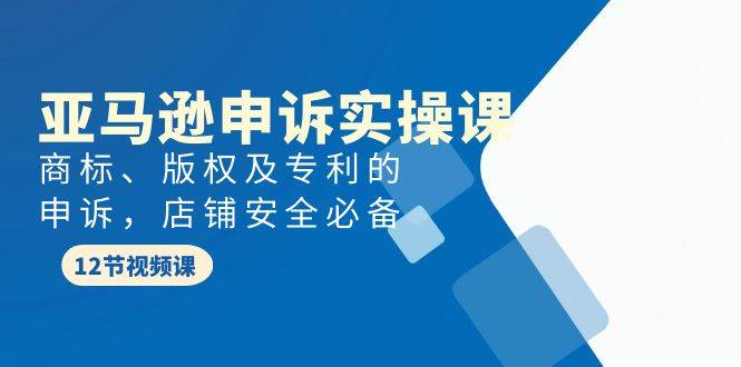 亚马逊-申诉实战课，商标、版权及专利的申诉，店铺安全必备-云创网