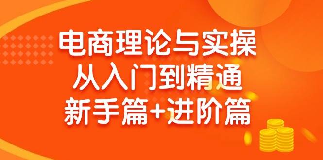 电商理论与实操从入门到精通 新手篇+进阶篇-云创网