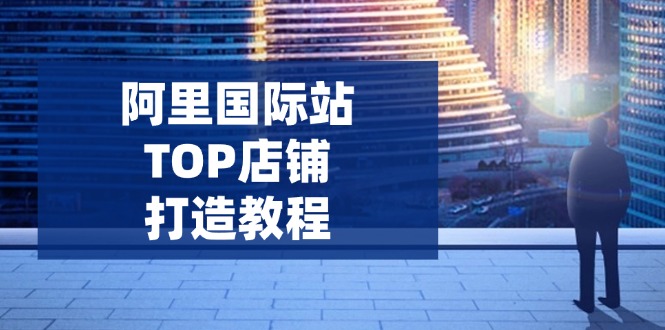 阿里国际站TOP店铺打造教程：涵盖平台到高阶，解决运营难题，提升询盘-云创网