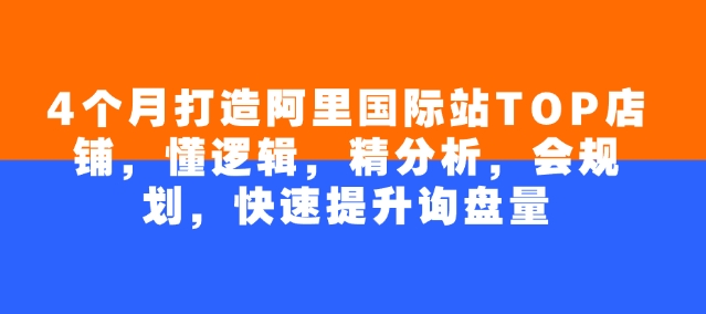 4个月打造阿里国际站TOP店铺，懂逻辑，精分析，会规划，快速提升询盘量-云创网