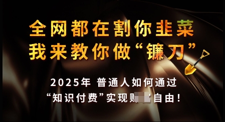知识付费如何做到月入过W+，2025我来教你做“镰刀”【揭秘】-云创网