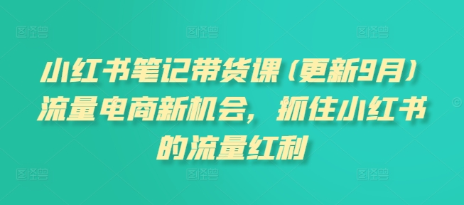 小红书笔记带货课(更新25年2月)流量电商新机会，抓住小红书的流量红利-云创网