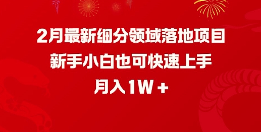 2月最新细分领域落地项目，新手小白也可快速上手，月入1W-云创网