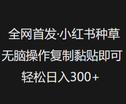 全网首发，小红书种草无脑操作，复制黏贴即可，轻松日入3张-云创网