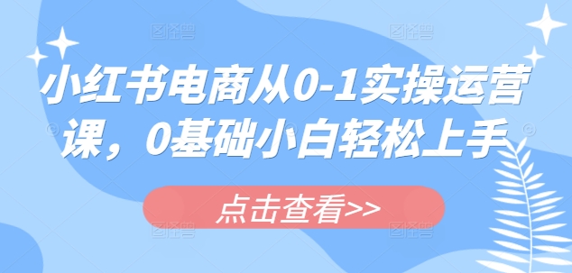 小红书电商从0-1实操运营课，0基础小白轻松上手-云创网